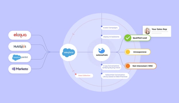 Infographic for how Saleswhale fits in your technology stack