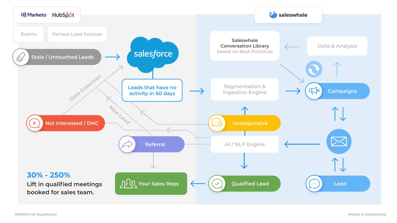 Saleswhale workflow example